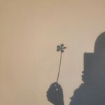 A silhouette of a person with a phone holding a clover, creating a minimalist shadow art on the wall.